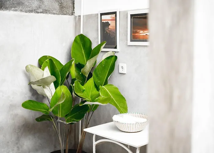 Ulus Backpackers Hostel